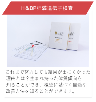 H&BP肥満遺伝子検査